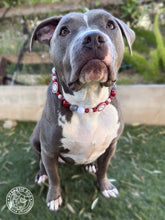 Load image into Gallery viewer, 🏈 Alabama Crimson Tide Inspired Bead Collar
