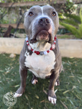 Load image into Gallery viewer, 🏈 Alabama Crimson Tide Inspired Bead Collar