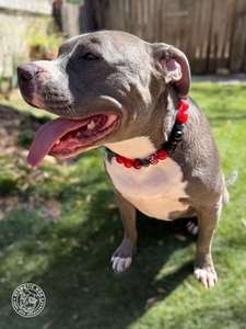 Crimson Web 🕸️ Bead Collar