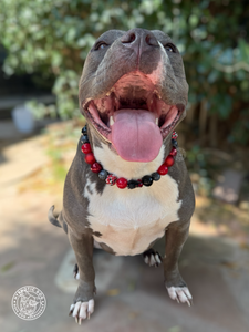 Crimson Web 🕸️ Bead Collar