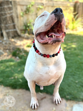 Load image into Gallery viewer, Crimson Web 🕸️ Bead Collar