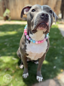 Cupcake Glitz Bead Collar