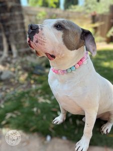 Cupcake Glitz Bead Collar
