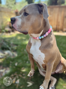 Cupcake Glitz Bead Collar