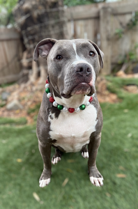 Deck the Halls Bead Collar