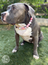 Load image into Gallery viewer, Disco Cowgirl Bead Collar