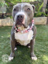 Load image into Gallery viewer, Disco Cowgirl Bead Collar