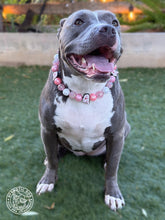 Load image into Gallery viewer, Disco Cowgirl Bead Collar