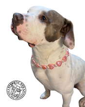 Load image into Gallery viewer, 🟧 18.5" Slip On (Black O-Ring) 💗 Pearly Pink Sweetheart 💗 Bead Collar - PRE-MADE/FINAL SALE