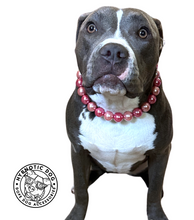 Load image into Gallery viewer, Dusty Rose Pearl Acrylic Bead Collar