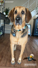Load image into Gallery viewer, Philadelphia Eagles NFL Inspired 🏈 Bead Collar
