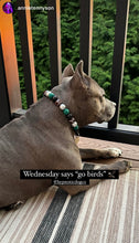 Load image into Gallery viewer, Philadelphia Eagles NFL Inspired 🏈 Bead Collar