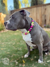 Load image into Gallery viewer, Electric Avenue Bead Collar