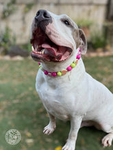 Load image into Gallery viewer, Electric Avenue Bead Collar