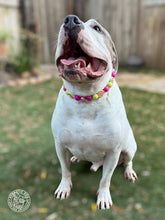 Load image into Gallery viewer, Electric Avenue Bead Collar