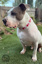 Load image into Gallery viewer, Electric Valentine Hearts Bead Collar