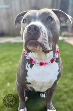 Load image into Gallery viewer, Electric Valentine Hearts Bead Collar