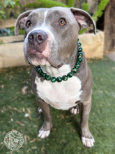 Load image into Gallery viewer, Emerald City 💫 Bead Collar