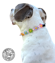 Load image into Gallery viewer, 🌼 Flower Power 🌼 Bead Collar