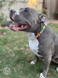🌼 Flower Power 🌼 Bead Collar