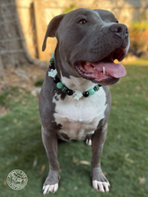Load image into Gallery viewer, Ghostly Glow 👻 Bead Collar