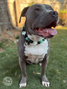 Ghostly Glow 👻 Bead Collar