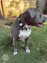 Load image into Gallery viewer, Ghostly Glow 👻 Bead Collar