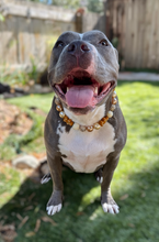 Load image into Gallery viewer, Gingerbread Mocha Glam Bead Collar