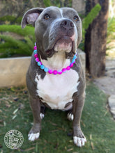 Load image into Gallery viewer, Glossy Bubblegum Tie Dye Acrylic Bead Collar