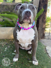 Load image into Gallery viewer, Glossy Bubblegum Tie Dye Acrylic Bead Collar