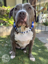 Load image into Gallery viewer, 🏒 Tampa Bay Lightning NHL Inspired Bead Collar