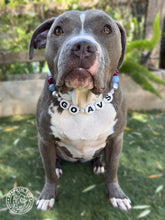 Load image into Gallery viewer, 🏒 Colorado Avalanche NHL Inspired Bead Collar