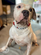 Load image into Gallery viewer, 🏒 Carolina Hurricanes NHL Inspired Bead Collar
