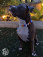 Load image into Gallery viewer, 🏒 New York Islanders NHL Inspired Bead Collar