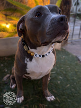 Load image into Gallery viewer, 🏒 Vegas Golden Knights NHL Inspired Bead Collar