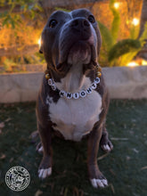 Load image into Gallery viewer, 🏒 Vegas Golden Knights NHL Inspired Bead Collar