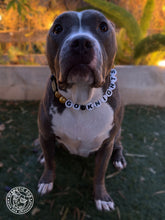 Load image into Gallery viewer, 🏒 Vegas Golden Knights NHL Inspired Bead Collar
