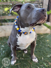 Load image into Gallery viewer, 🏀 Golden State Warriors NBA Inspired Bead Collar