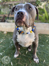 Load image into Gallery viewer, 🏀 Golden State Warriors NBA Inspired Bead Collar