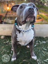 Load image into Gallery viewer, 🏒 San Jose Sharks NHL Inspired Bead Collar