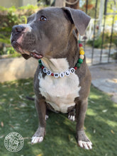 Load image into Gallery viewer, 🏒 Minnesota Wild NHL Inspired Bead Collar