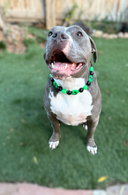 Load image into Gallery viewer, Green Alien Bead Collar