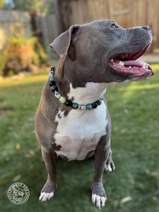 Haunted Nights Bead Collar