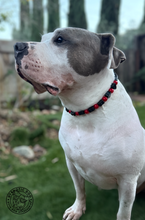 Load image into Gallery viewer, Heartbreaker Bead Collar
