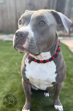 Load image into Gallery viewer, Heartbreaker Bead Collar