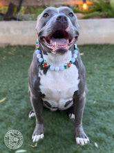 Load image into Gallery viewer, Hibiscus 🌺 Bead Collar