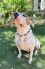 Load image into Gallery viewer, Holly Jolly Christmas Bead Collar