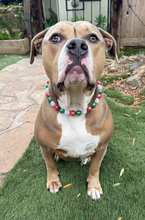 Load image into Gallery viewer, Holly Jolly Christmas Bead Collar