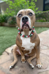 Holly Jolly Christmas Bead Collar