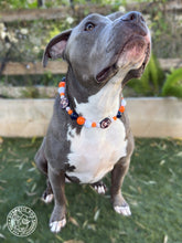 Load image into Gallery viewer, ⚾️ Houston Astros MLB Inspired Bead Collar